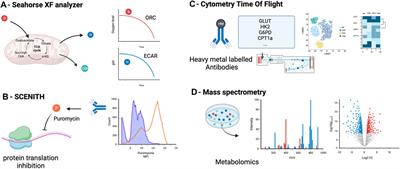 Harnessing Immune Cell Metabolism to Modulate Alloresponse in Transplantation